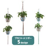 プラントハンガー ハンギングプランター プランターハンガー | PlusNao | 詳細画像1 