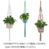 プラントハンガー ハンギングプランター プランターハンガー | PlusNao | 詳細画像7 