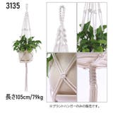 プラントハンガー ハンギングプランター 吊り下げ | PlusNao | 詳細画像2
