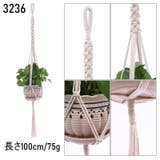 プラントハンガー ハンギングプランター 吊り下げ | PlusNao | 詳細画像3