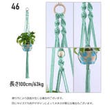 プラントハンガー ハンギングプランター 吊り下げ | PlusNao | 詳細画像9