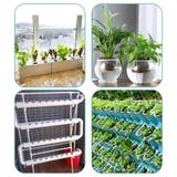 育苗ポット 水耕栽培ポット 土耕栽培ポット | PlusNao | 詳細画像2