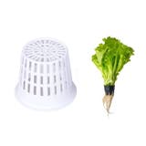 育苗ポット 水耕栽培ポット 土耕栽培ポット | PlusNao | 詳細画像4