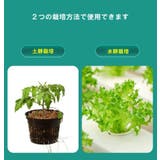 育苗ポット 水耕栽培ポット 土耕栽培ポット | PlusNao | 詳細画像6