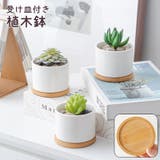 植木鉢 受け皿付き 多肉植木鉢 | PlusNao | 詳細画像1