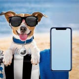 AirTag 保護ケース アップル | PlusNao | 詳細画像14 