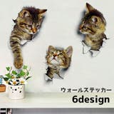 ウォールステッカー 壁紙シール 猫 | PlusNao | 詳細画像1 