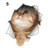 ウォールステッカー 壁紙シール 猫 | PlusNao | 詳細画像6 