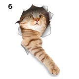 ウォールステッカー 壁紙シール 猫 | PlusNao | 詳細画像7 
