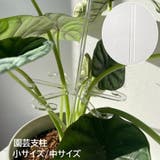 園芸支柱 花支柱 植木鉢用 | PlusNao | 詳細画像1