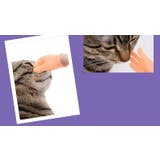 猫用おもちゃ ペット用おもちゃ ねこ | PlusNao | 詳細画像4