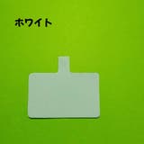 スマホストラップ用シート ネックストラップ用 レディース | PlusNao | 詳細画像9