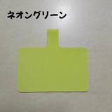 スマホストラップ用シート ネックストラップ用 レディース | PlusNao | 詳細画像16 