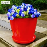 植木鉢 受け皿付き フラワーポット | PlusNao | 詳細画像10 