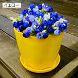 植木鉢 受け皿付き フラワーポット | PlusNao | 詳細画像11 