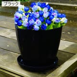 植木鉢 受け皿付き フラワーポット | PlusNao | 詳細画像15 