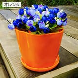 植木鉢 受け皿付き フラワーポット | PlusNao | 詳細画像17 