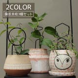 園芸支柱 3個セット 支柱 | PlusNao | 詳細画像1