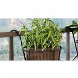 プラントホルダー 吊り下げ 植木鉢 | PlusNao | 詳細画像5