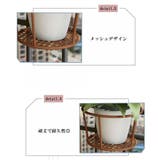 プラントホルダー 吊り下げ 植木鉢 | PlusNao | 詳細画像8