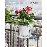 プラントホルダー 吊り下げ 植木鉢 | PlusNao | 詳細画像9