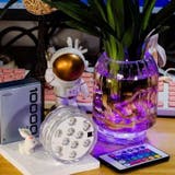 バスライト 水中ライト 電池式 | PlusNao | 詳細画像13 