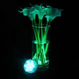 バスライト 水中ライト 電池式 | PlusNao | 詳細画像9 