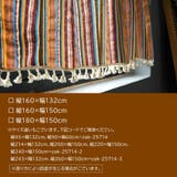 カーテン 間仕切りカーテン フォークロア | PlusNao | 詳細画像12