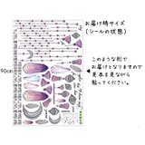 ウォールステッカー 壁紙シール シールタイプ | PlusNao | 詳細画像10 