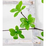 フェイクグリーン 人工観葉植物 観葉植物 | PlusNao | 詳細画像10