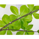 フェイクグリーン 人工観葉植物 観葉植物 | PlusNao | 詳細画像11