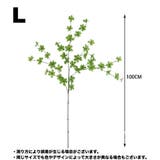 フェイクグリーン 人工観葉植物 観葉植物 | PlusNao | 詳細画像16