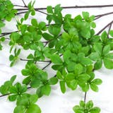 フェイクグリーン 人工観葉植物 観葉植物 | PlusNao | 詳細画像9