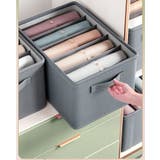 衣類収納ボックス 洋服収納ケース 収納グッズ | PlusNao | 詳細画像2 