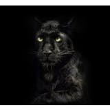 背景布 バックペーパー 黒色 | PlusNao | 詳細画像10 