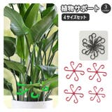 植物サポート 4サイズセット 茎ホルダー | PlusNao | 詳細画像1