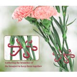 植物サポート 4サイズセット 茎ホルダー | PlusNao | 詳細画像2