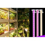 植物育成ライト プラントライト 植物ライト | PlusNao | 詳細画像2