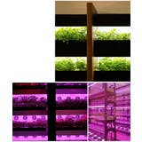 植物育成ライト プラントライト 植物ライト | PlusNao | 詳細画像5