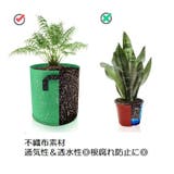 不織布プランター 植木鉢 花鉢 | PlusNao | 詳細画像15