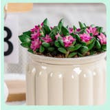 植木鉢 自動給水 プランター | PlusNao | 詳細画像13