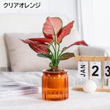 植木鉢 自動給水 プランター | PlusNao | 詳細画像19