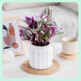 植木鉢 自動給水 プランター | PlusNao | 詳細画像4