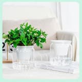 植木鉢 自動給水 プランター | PlusNao | 詳細画像5