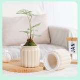 植木鉢 自動給水 プランター | PlusNao | 詳細画像8