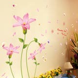 ウォールステッカー シール式 壁ステッカー | PlusNao | 詳細画像2 