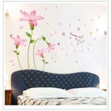 ウォールステッカー シール式 壁ステッカー | PlusNao | 詳細画像4 