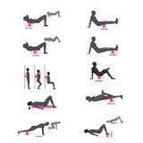 ヨガポール ヨガローラー ストレッチローラー | PlusNao | 詳細画像6 