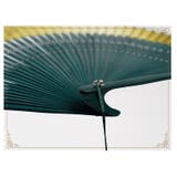 扇子 せんす レディース | PlusNao | 詳細画像13 