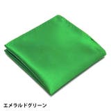 ポケットチーフ ハンカチ メンズ | PlusNao | 詳細画像2 